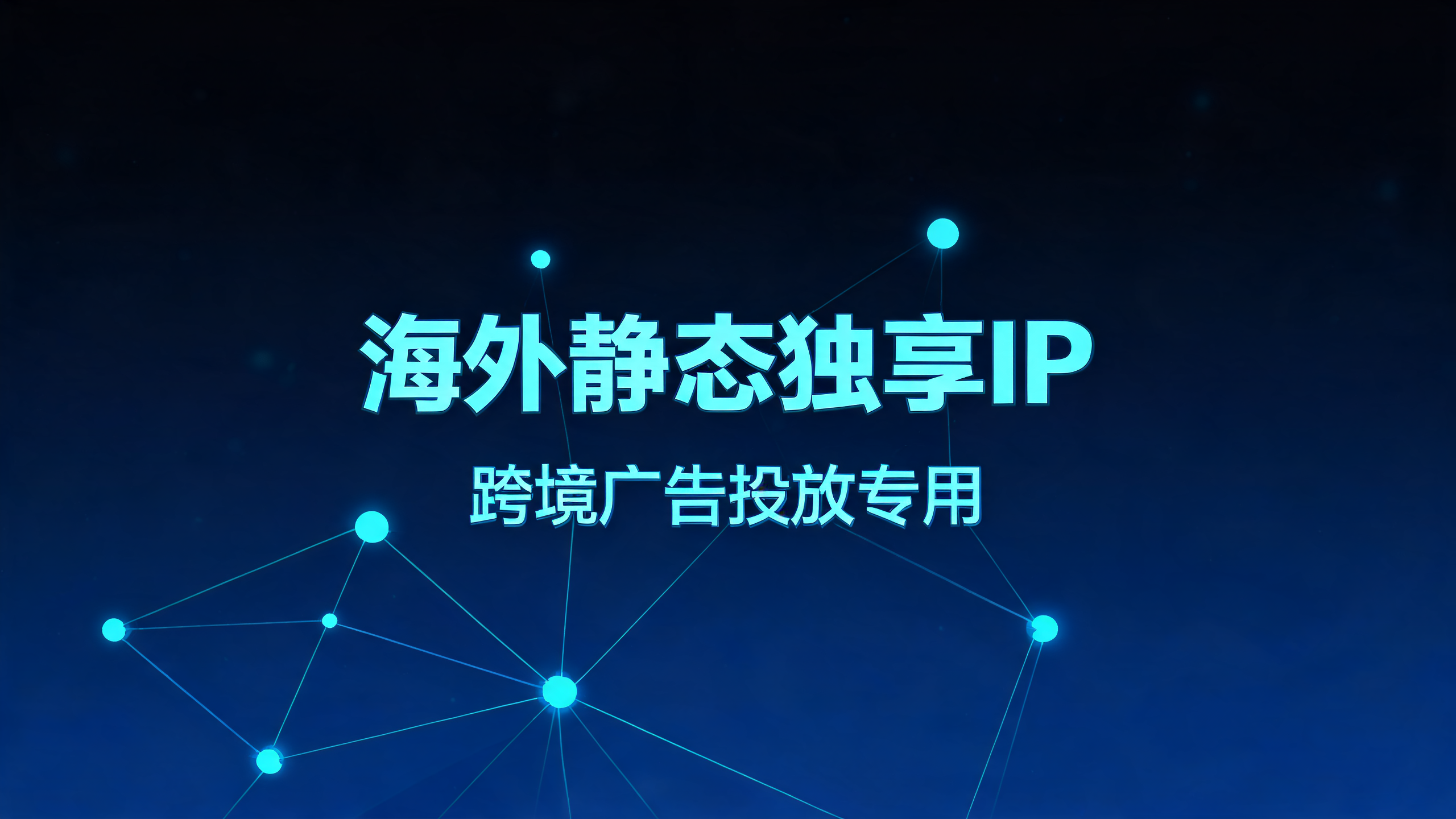 海外静态独享IP,跨境广告投放专用